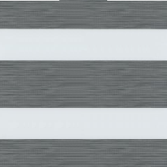 Day and Night Roller Blinds Neroli Anthracite 2905 Dim-Out - Manor Interiors